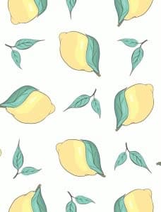 Twin Lemon Tropical Bedding Set with Pillowcases 68x87 Zipper Closure Corner Ties