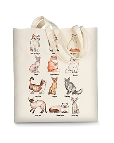 AUSVKAI Women's Aesthetic Canvas Tote Bag for Shopping Beach