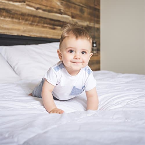 White Linen Queen Mattress Pad, Soft & Plush (BC-MATTPAD-Queen)