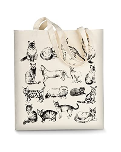 AUSVKAI Women's Aesthetic Canvas Tote Bag for Shopping Beach