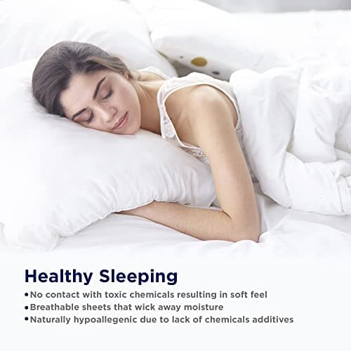 Lane Linen Queen Ivory Pillow Cases 100% Egyptian Cotton 1000 TPI Sateen