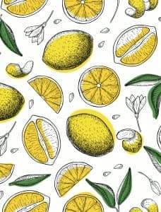 Twin Lemon Tropical Bedding Set with Pillowcases 68x87 Zipper Closure Corner Ties