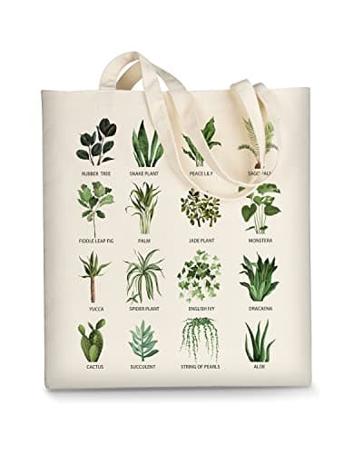AUSVKAI Women's Aesthetic Canvas Tote Bag for Shopping Beach