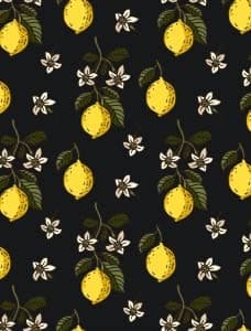 Twin Lemon Tropical Bedding Set with Pillowcases 68x87 Zipper Closure Corner Ties