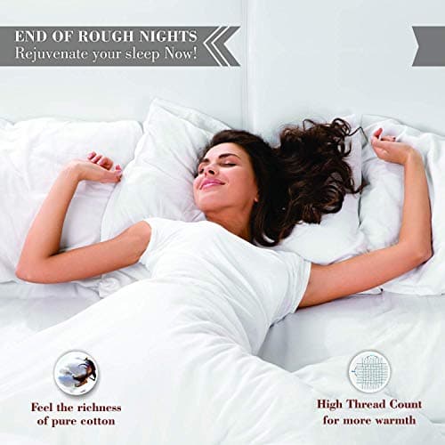 Authentic 1500 Thread Count Egyptian Cotton 4-PC Sheet Set (Queen, Beige Stripe)