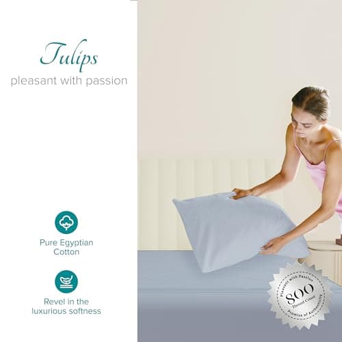 800 Thread Count Luxury Egyptian Cotton King Size Pillow Cases Set of 2 in Sky Blue