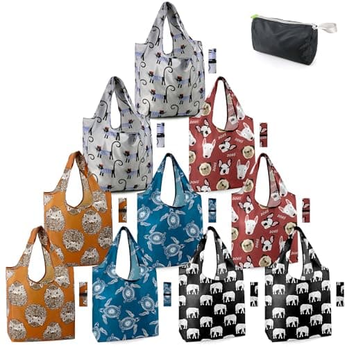 BeeGreen Foldable 50LBS Extra Large Reusable Grocery & Shopping Bags (10 Pack, Colorful)