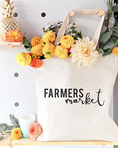 Reusable Shoulder Tote and Handbag for Beach, Grocery, Farmers Market, and Travel