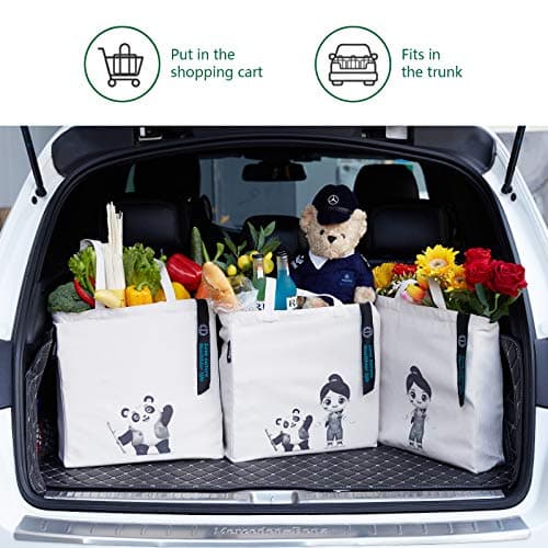 Eco-Friendly Organic Cotton Shopping Totes with Handle
